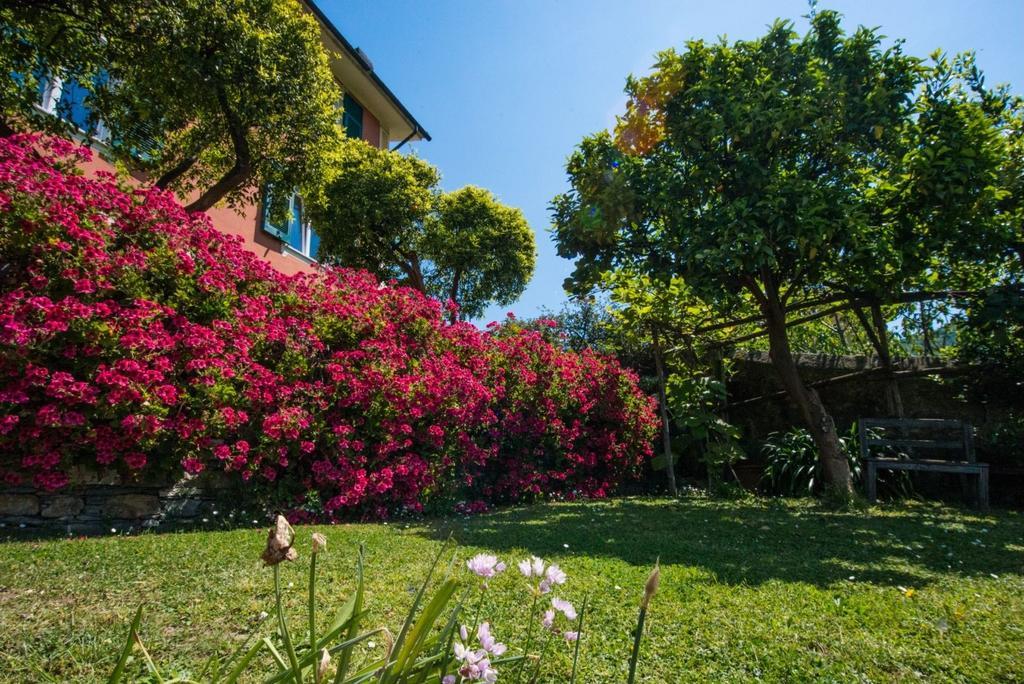 Le Clementine B&B Camogli Exterior foto